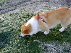 Resize of SANY1008_thumb.jpg